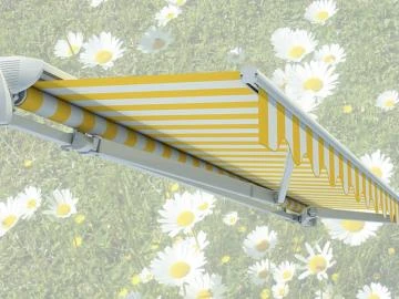 Lewens ECONOMY Markise, konfigurieren